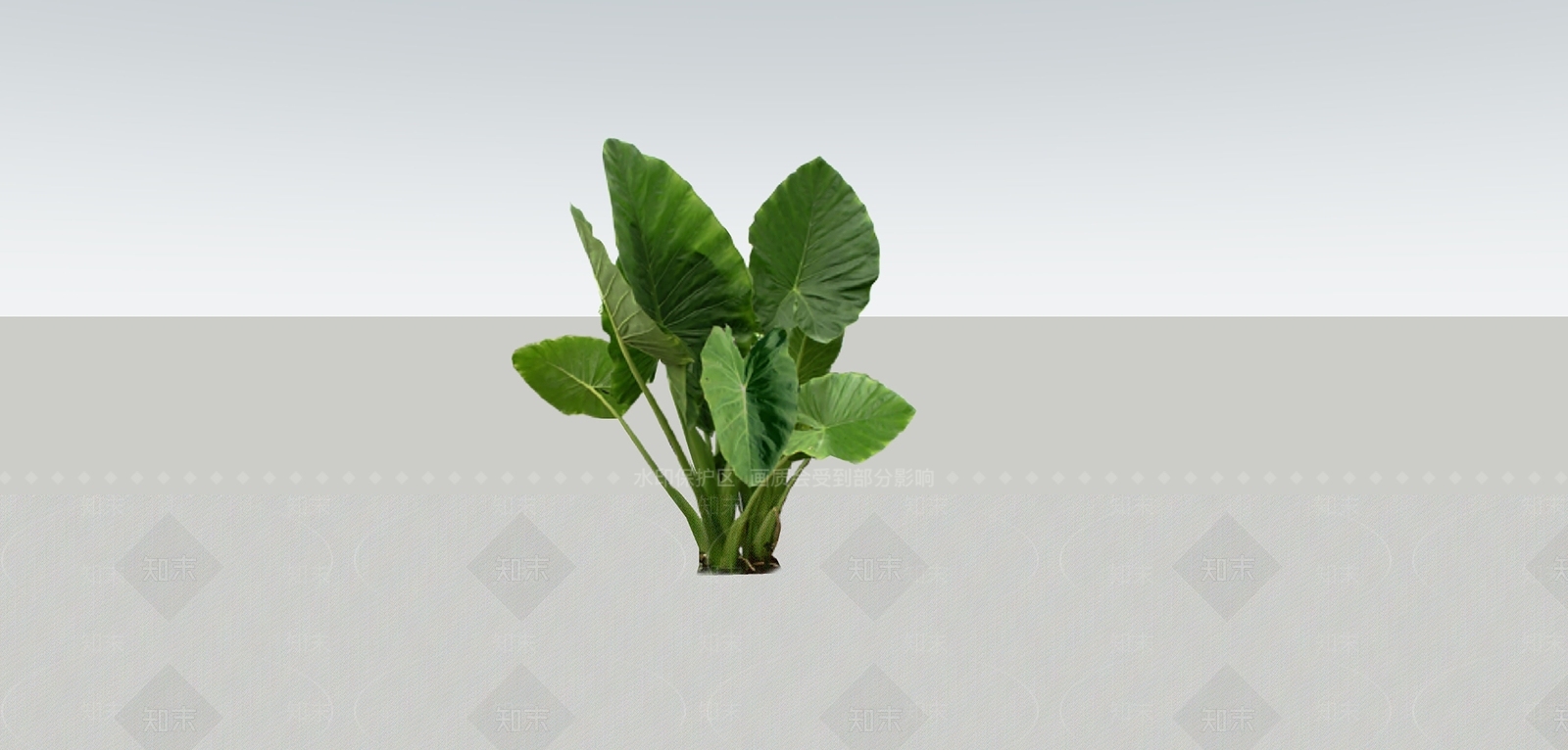 盆栽SU模型下载【ID:1195674976】