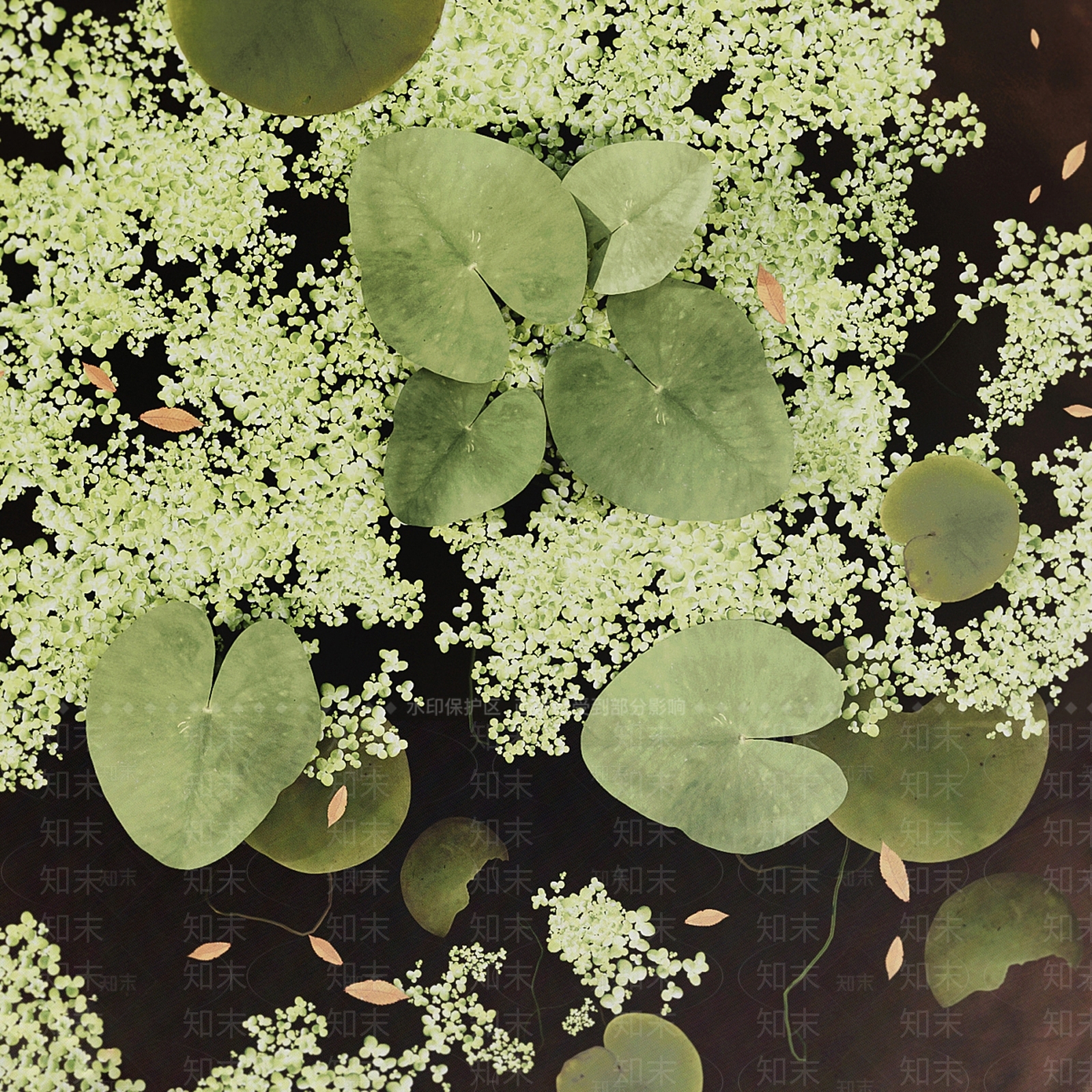 新中式现代花池3D模型下载【ID:1195718132】