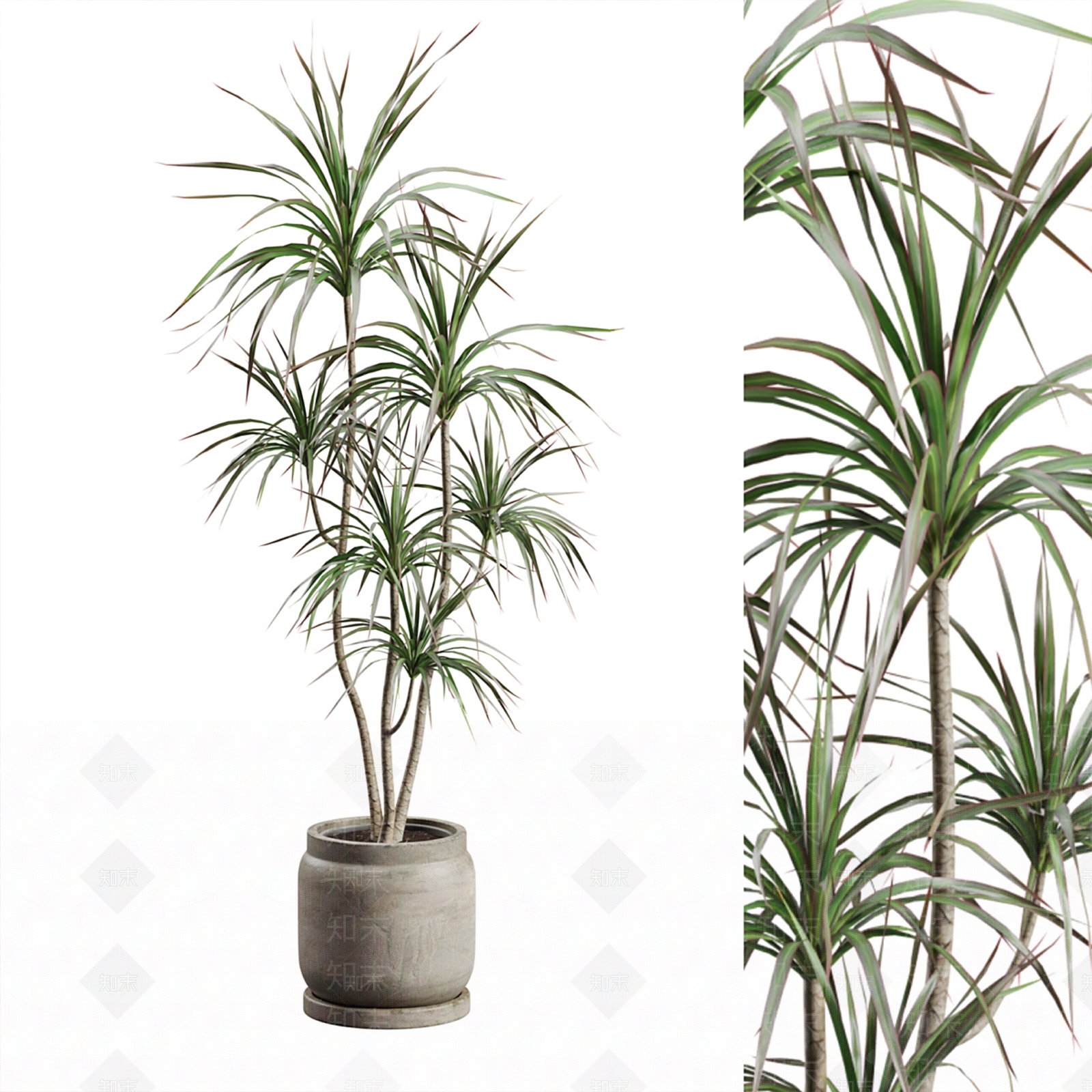盆栽3D模型下载【ID:1195721049】