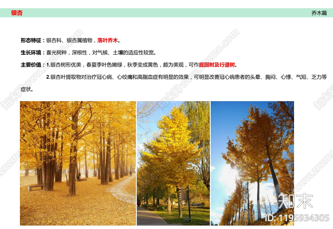 现代其他景观文本下载【ID:1195934305】