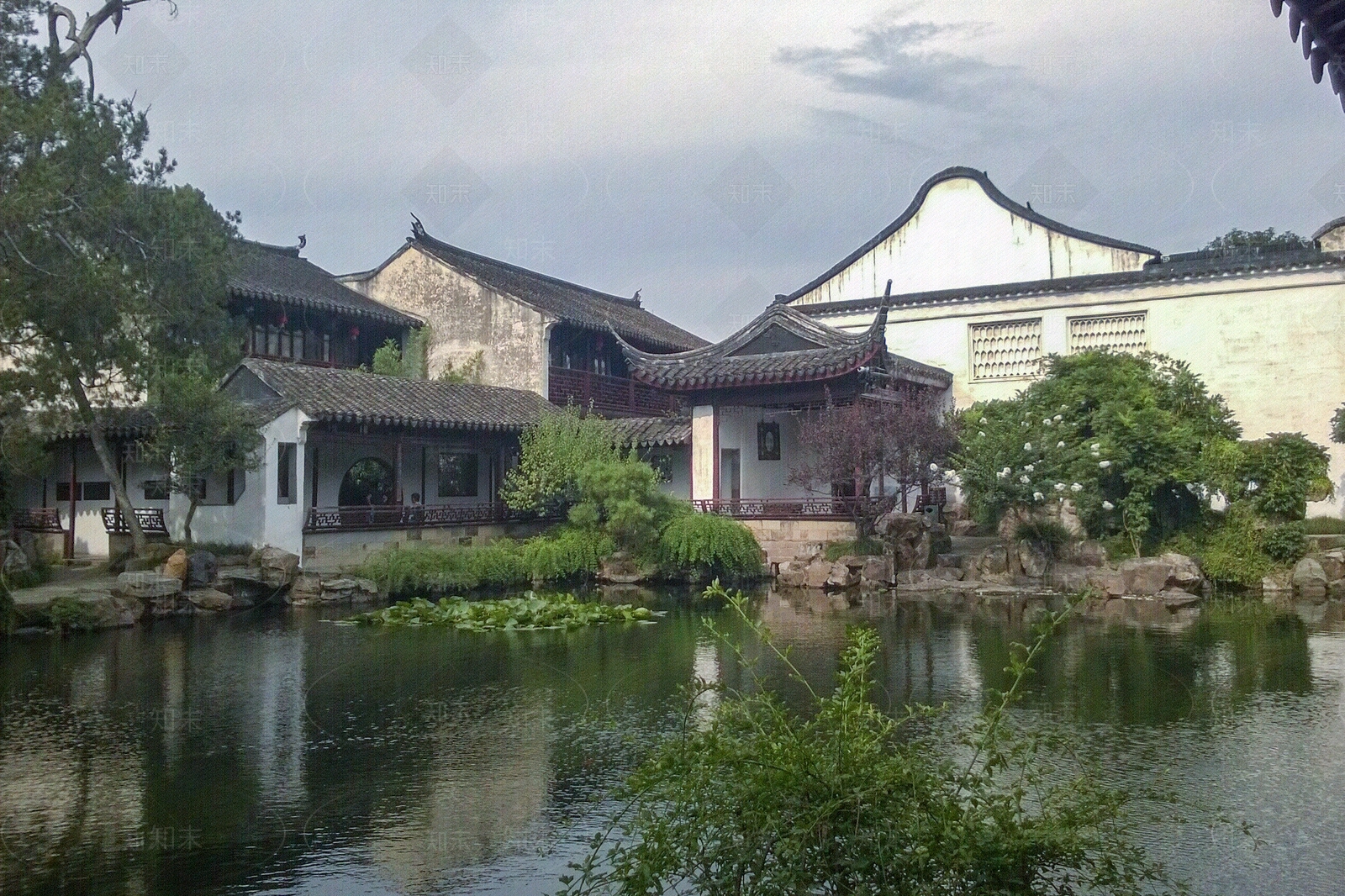 花园高清贴图材质