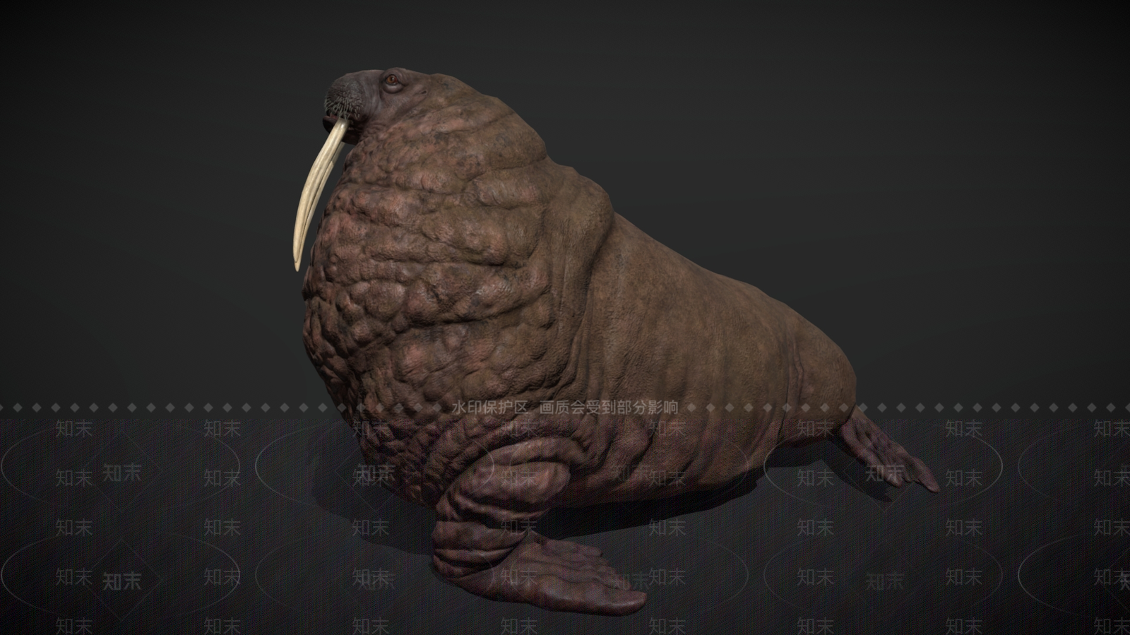 水生类动物3D模型下载【ID:1195752209】