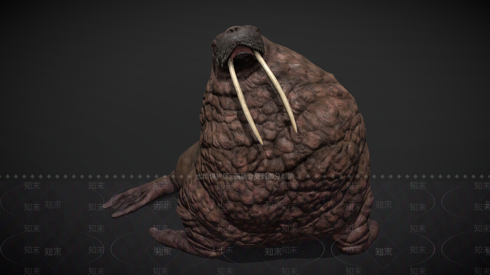 水生类动物3D模型下载【ID:1195752209】