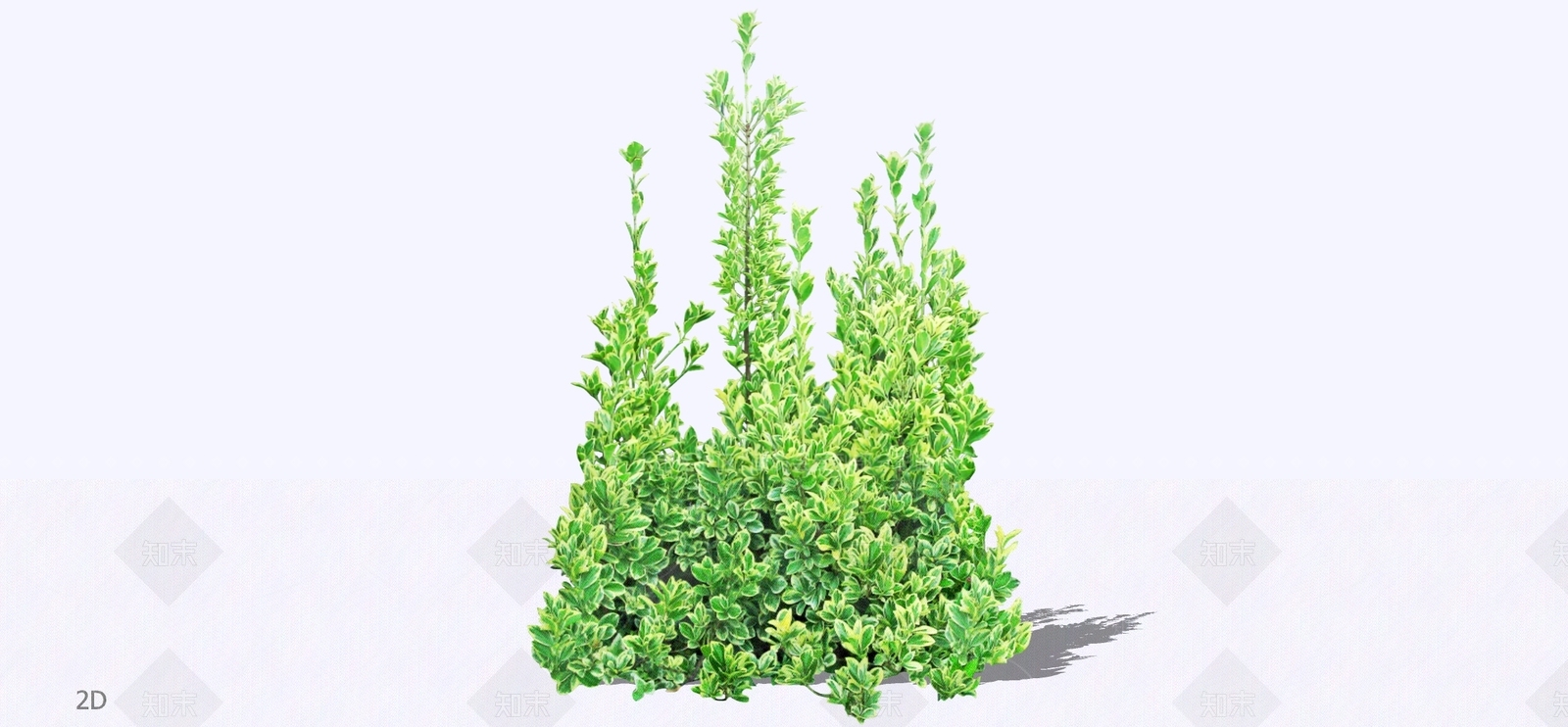 灌木SU模型下载【ID:1195763585】