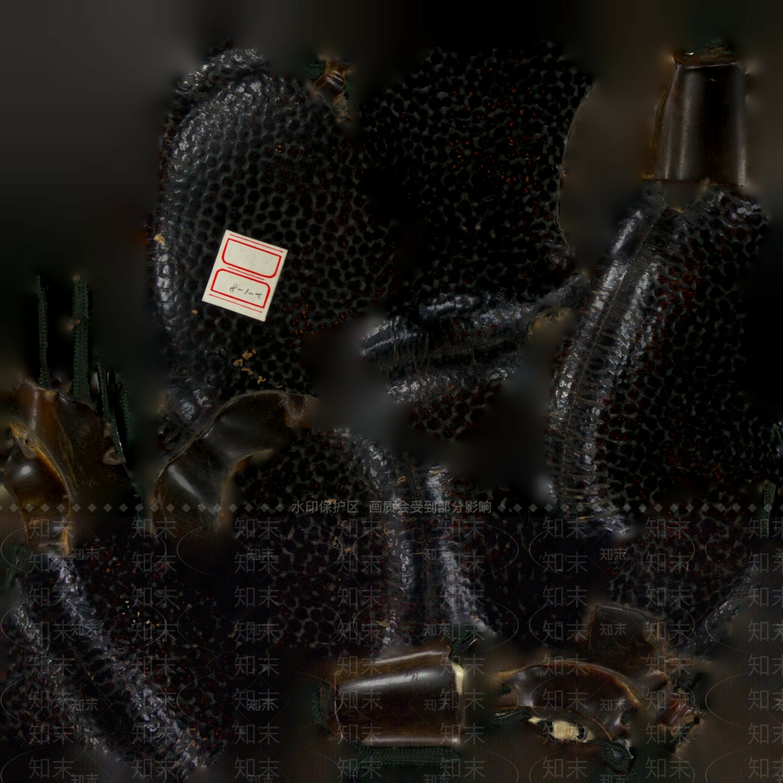 现代文物水袋酒壶3D模型下载【ID:1195772385】