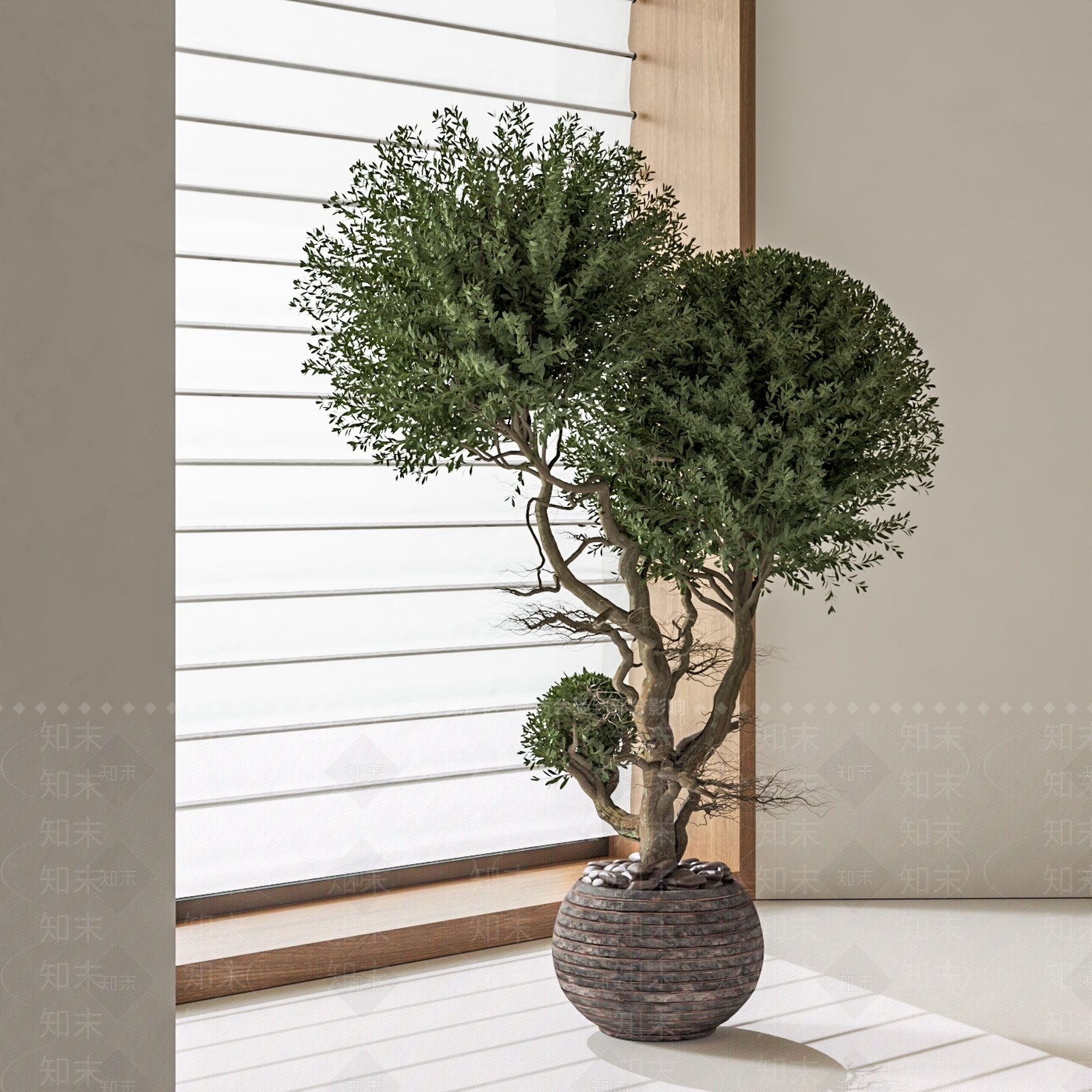 盆栽SU模型下载【ID:1195794418】