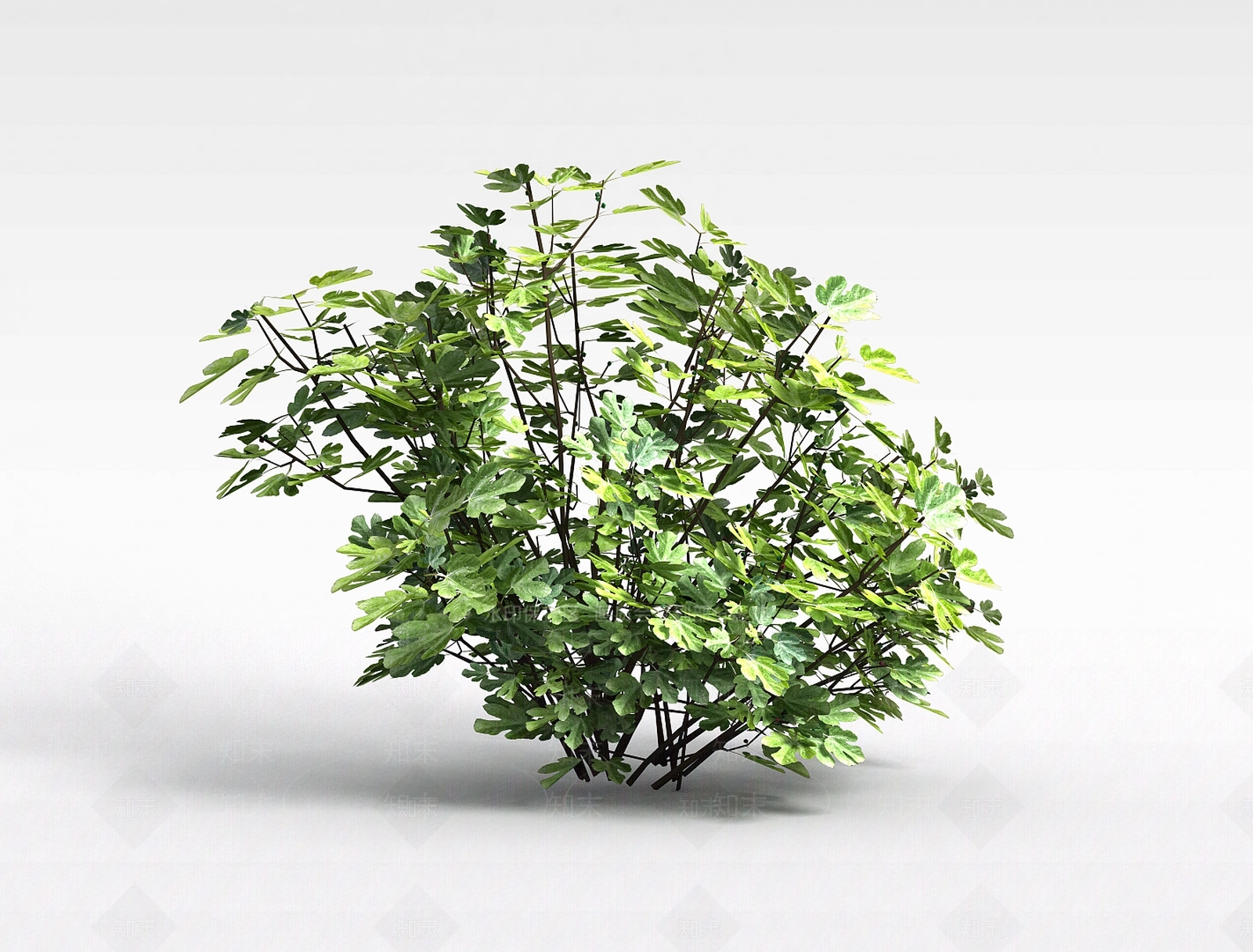 现代灌木3D模型下载【ID:1195797085】