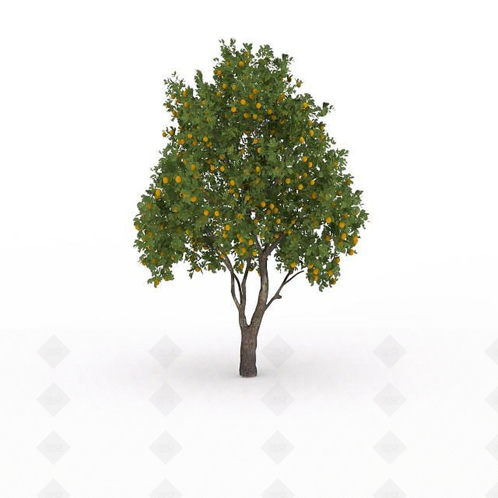 现代灌木3D模型下载【ID:1195797484】