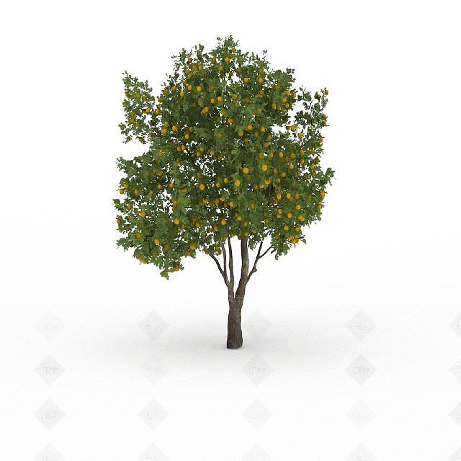 现代灌木3D模型下载【ID:1195797484】