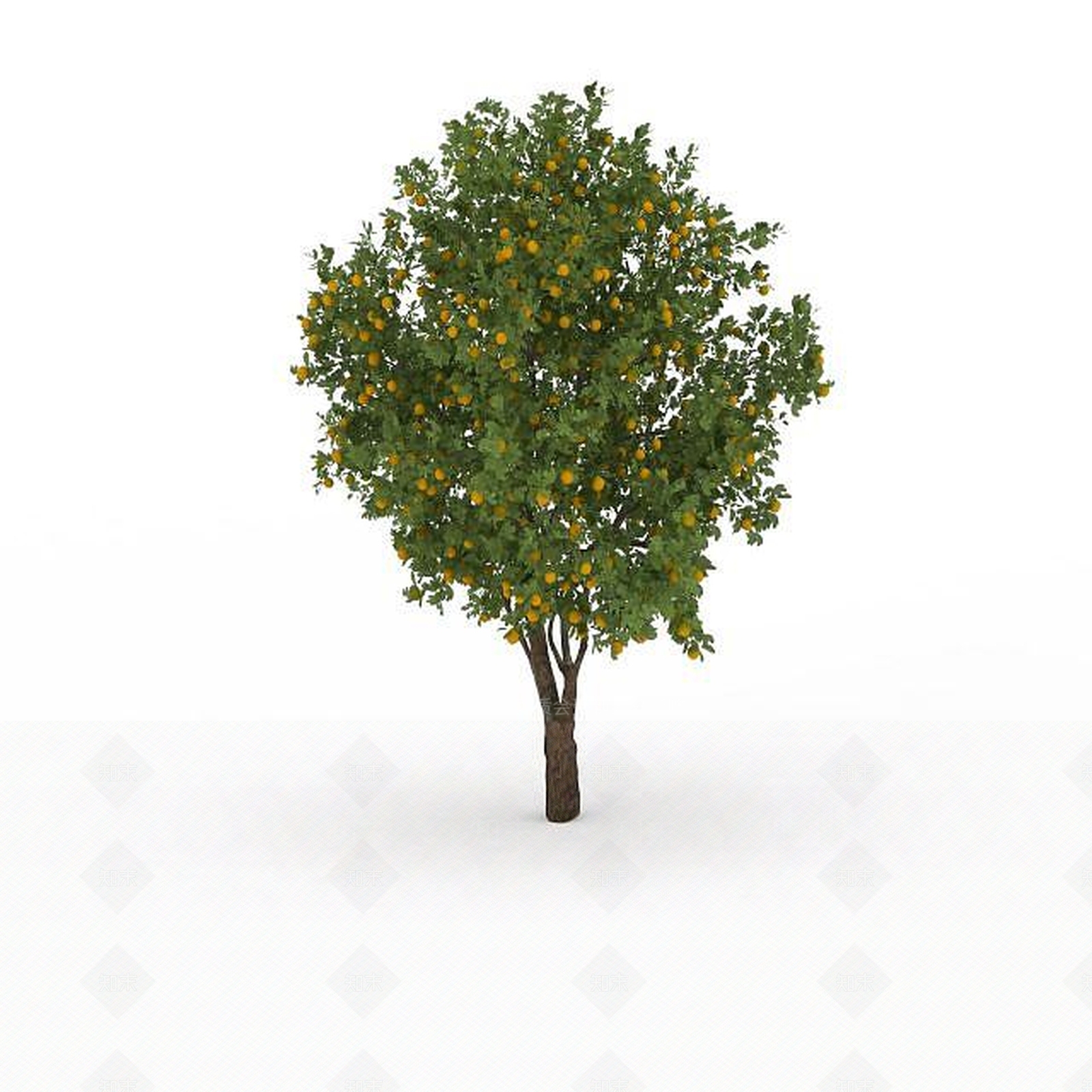 现代灌木3D模型下载【ID:1195797484】