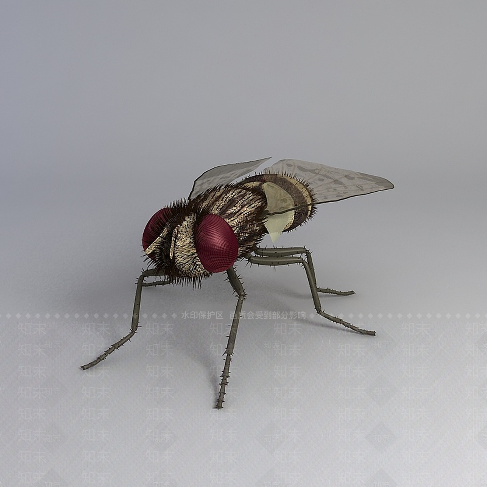 现代爬行类动物3D模型下载【ID:1195802724】