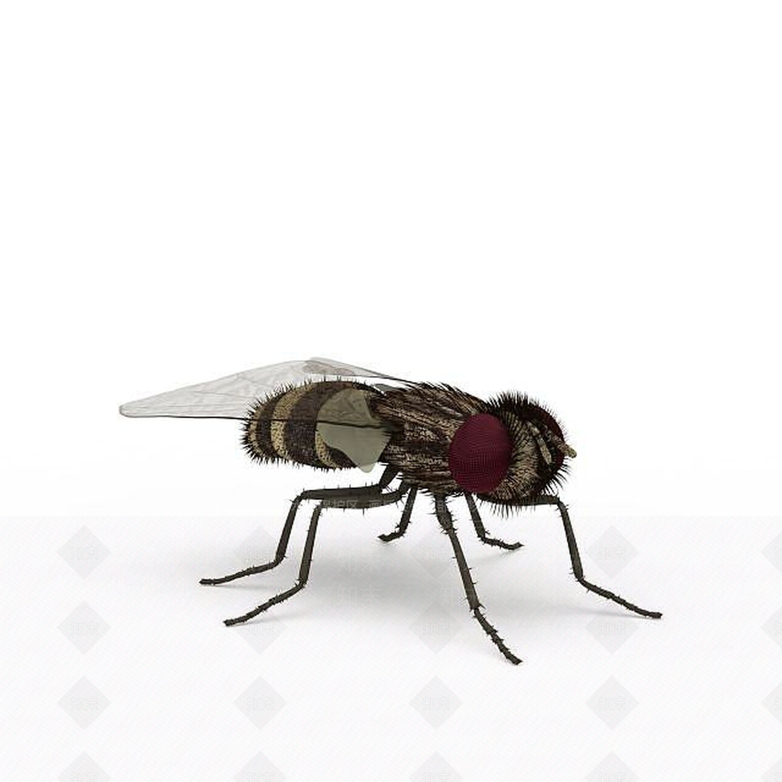 现代爬行类动物3D模型下载【ID:1195802724】