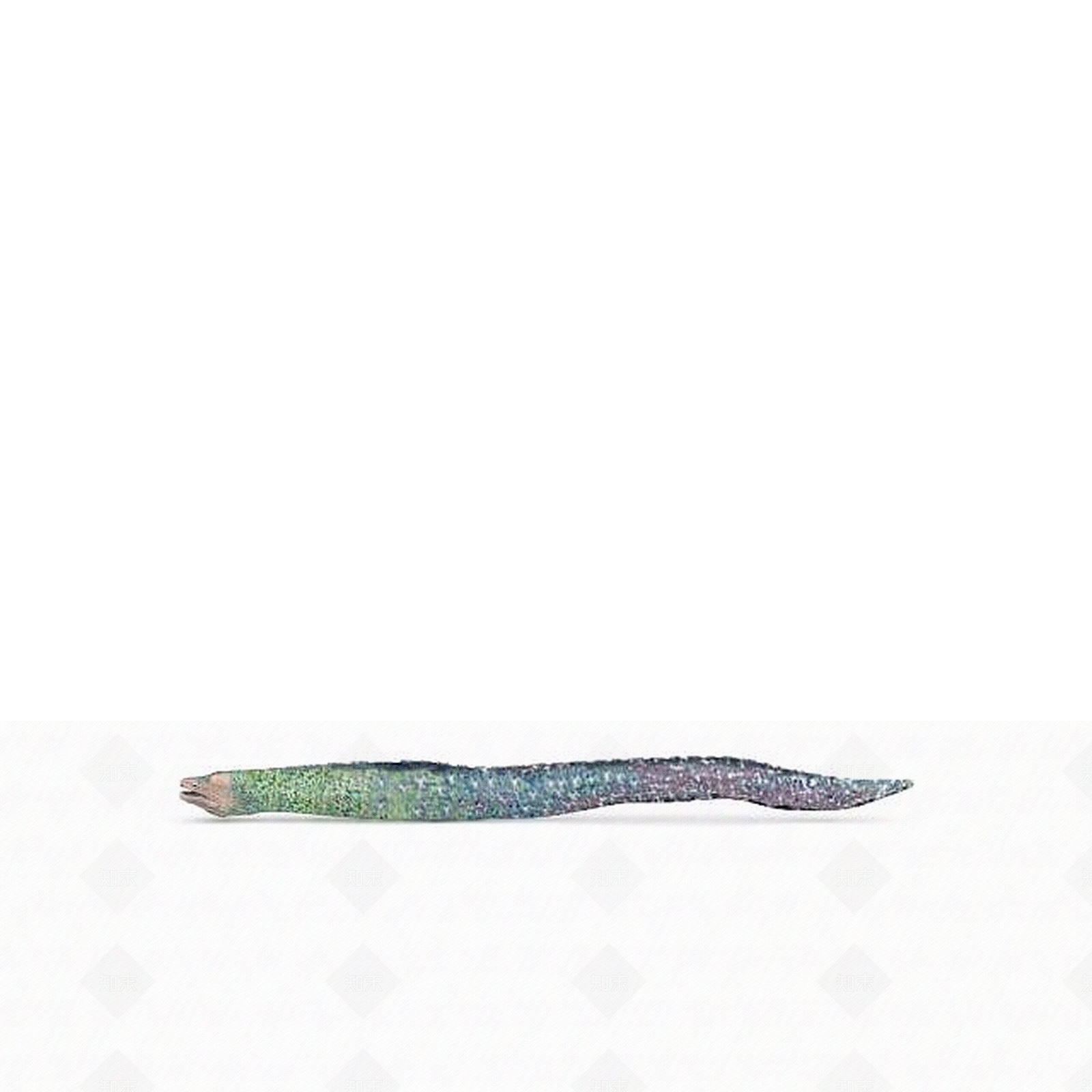 现代爬行类动物3D模型下载【ID:1195803098】