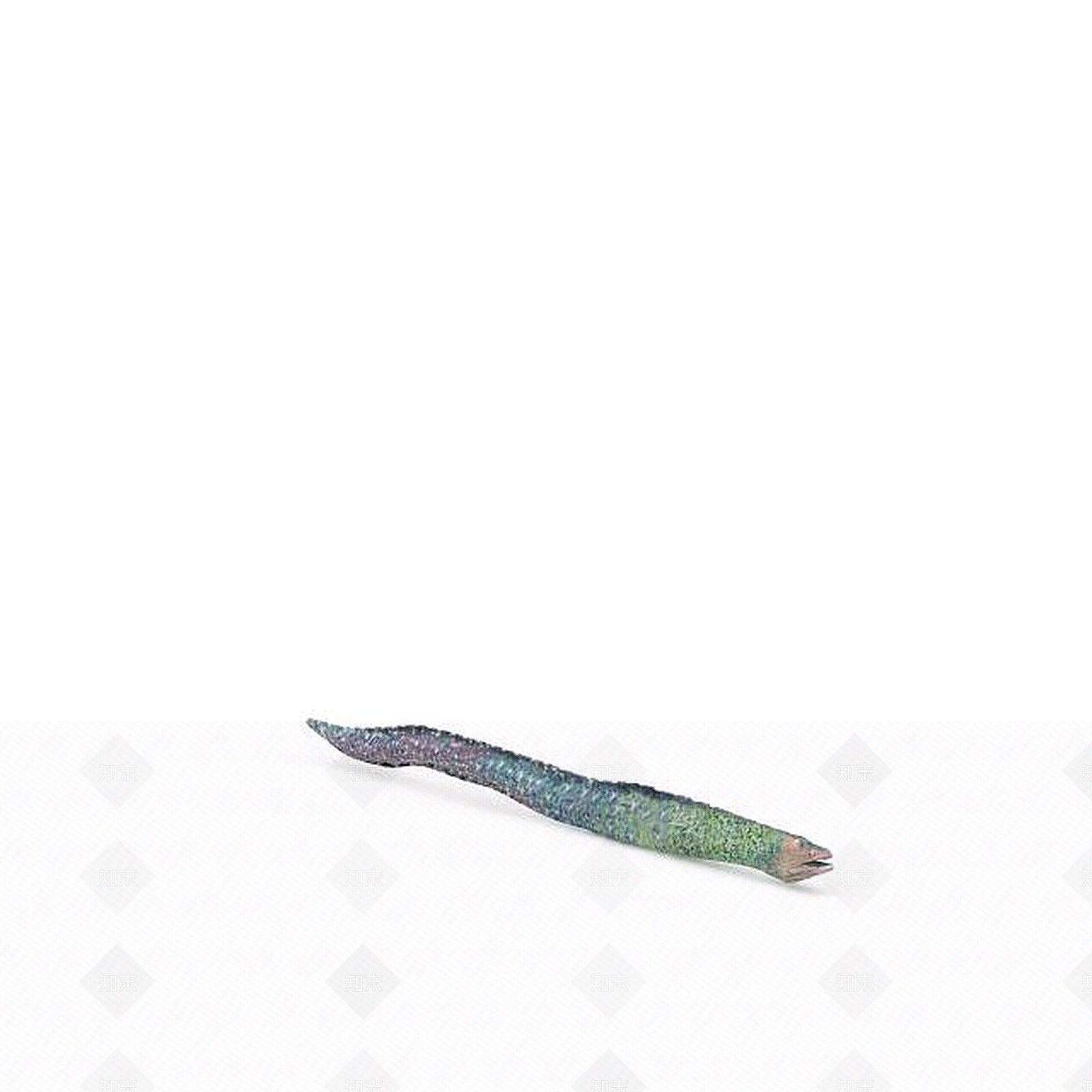 现代爬行类动物3D模型下载【ID:1195803098】