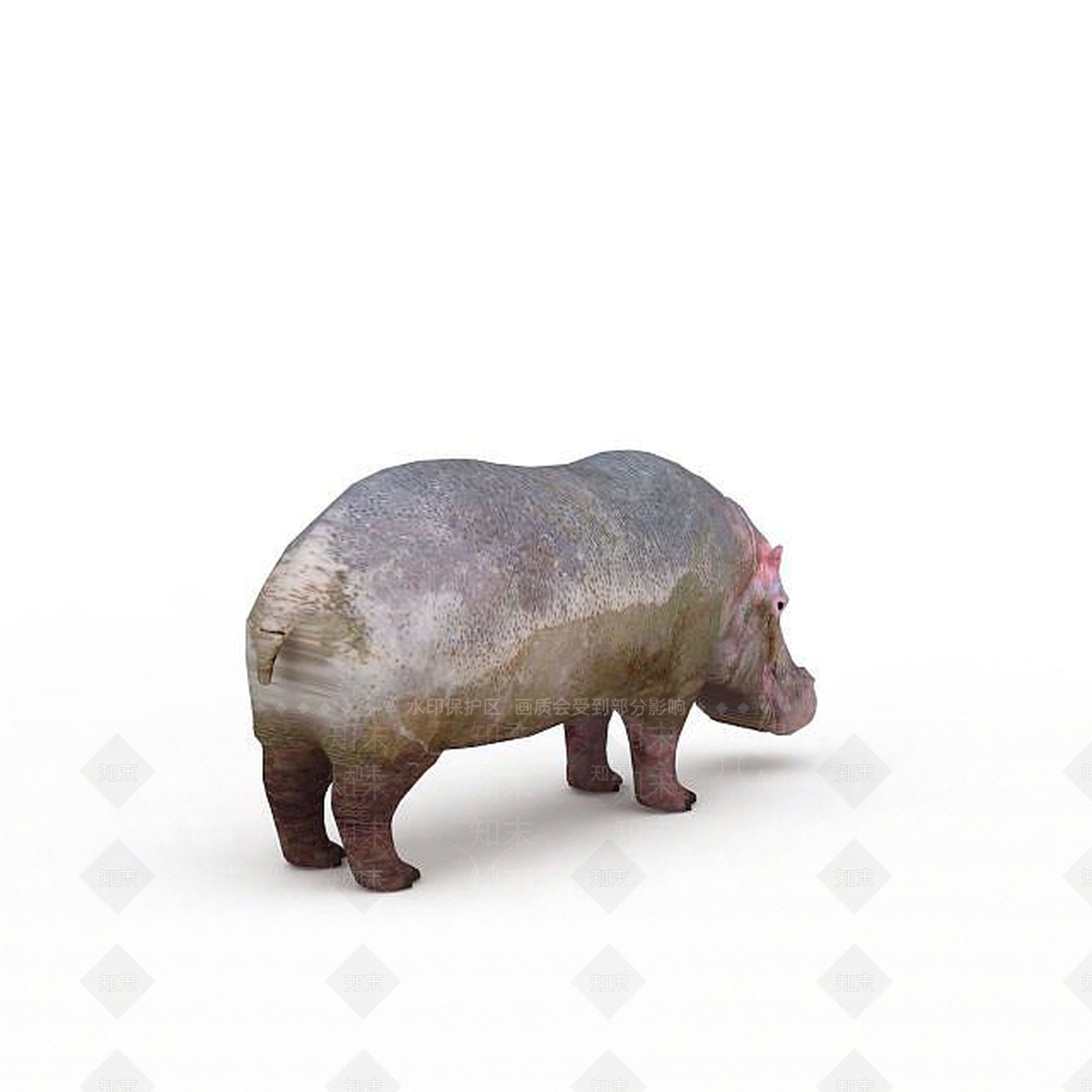 现代爬行类动物3D模型下载【ID:1195803111】