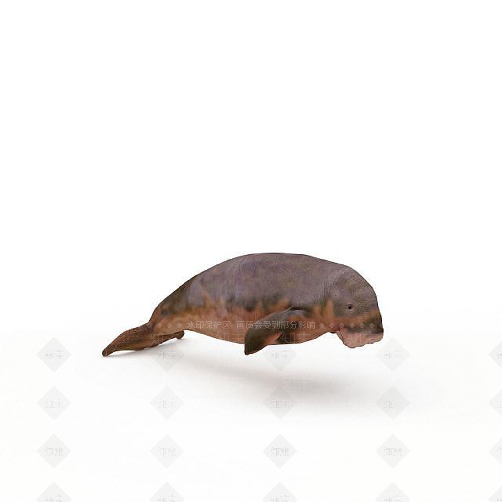 现代爬行类动物3D模型下载【ID:1195803143】