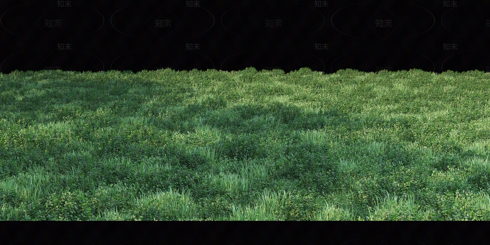 现代自然地面贴图下载【ID:1195810944】