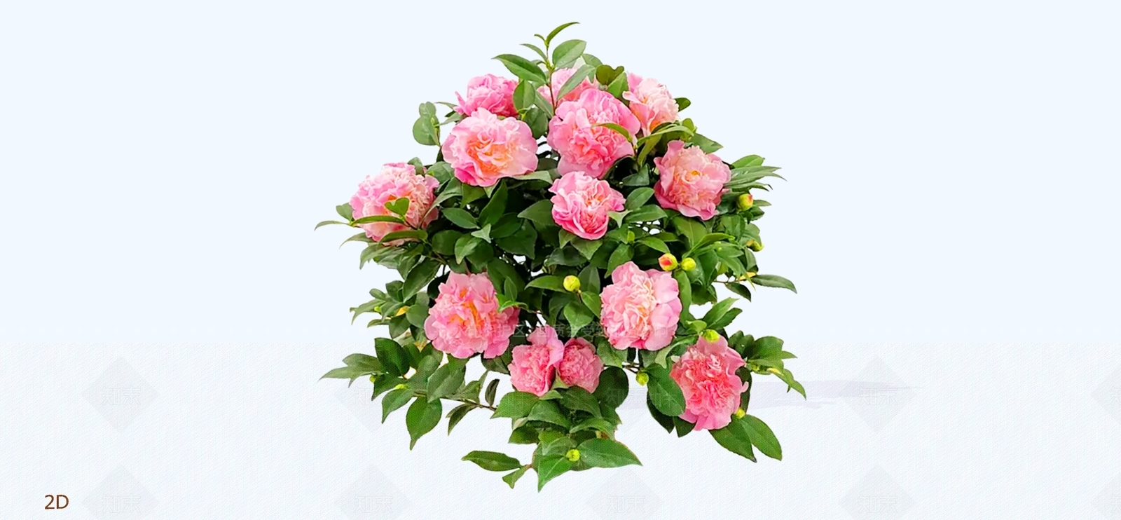 灌木SU模型下载【ID:1195815980】
