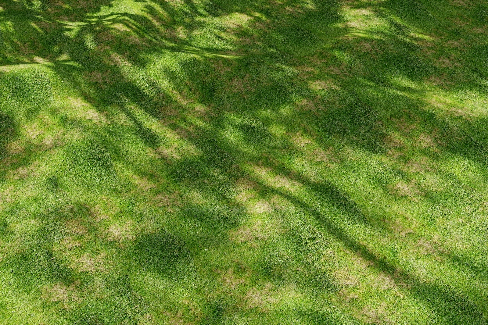 草3D模型下载【ID:1195846262】