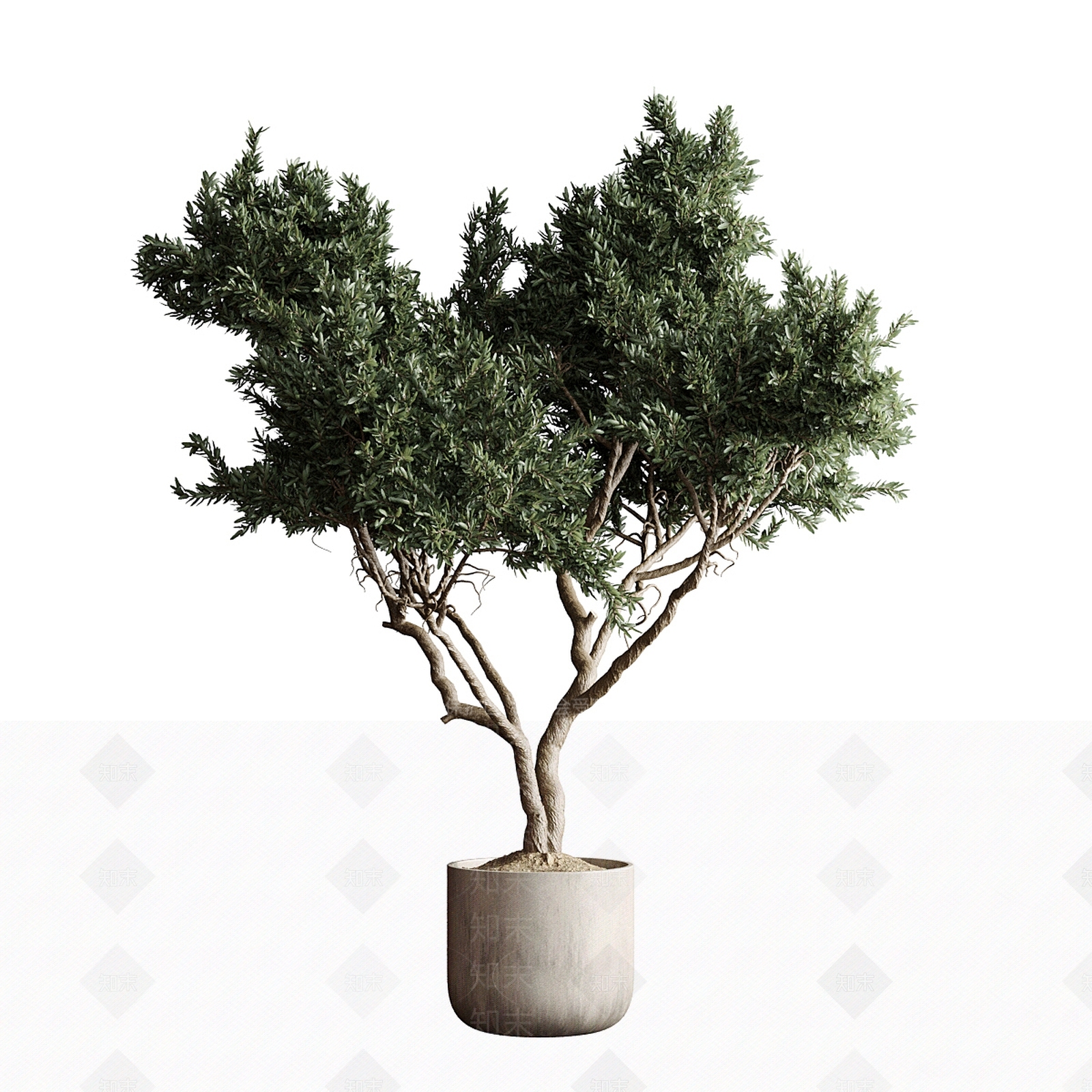 盆栽3D模型下载【ID:1195870288】