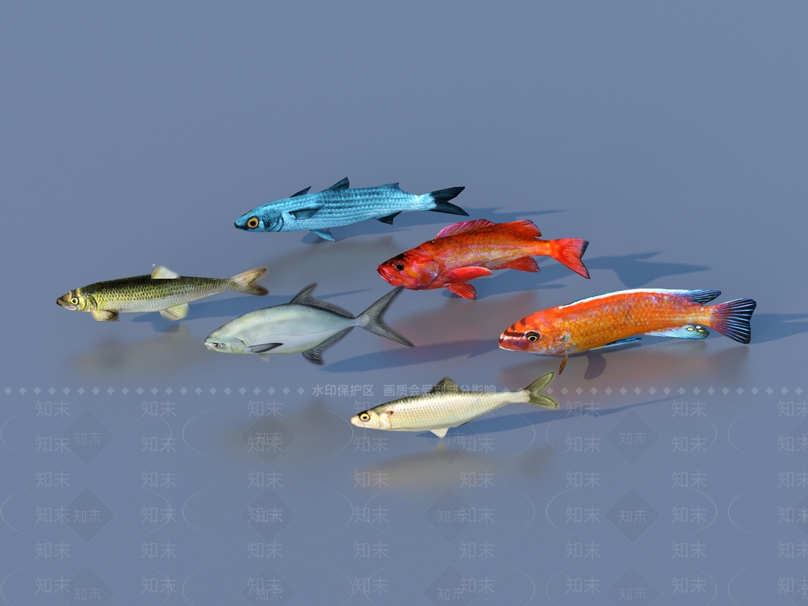 水生类动物3D模型下载【ID:1195881683】