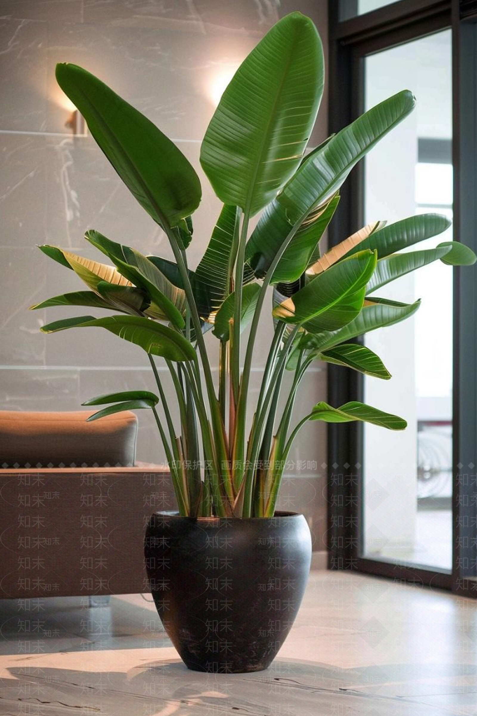 盆栽3D模型下载【ID:1195897245】