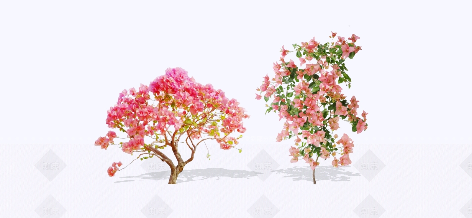 灌木SU模型下载【ID:1195909554】