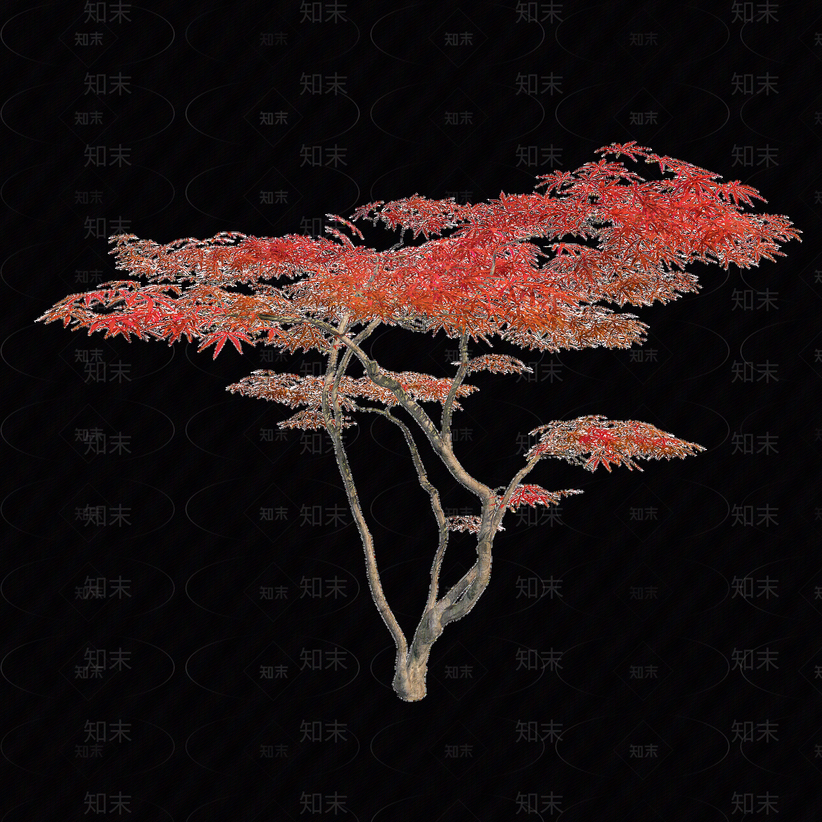 现代其它HDR贴图下载【ID:1195911060】