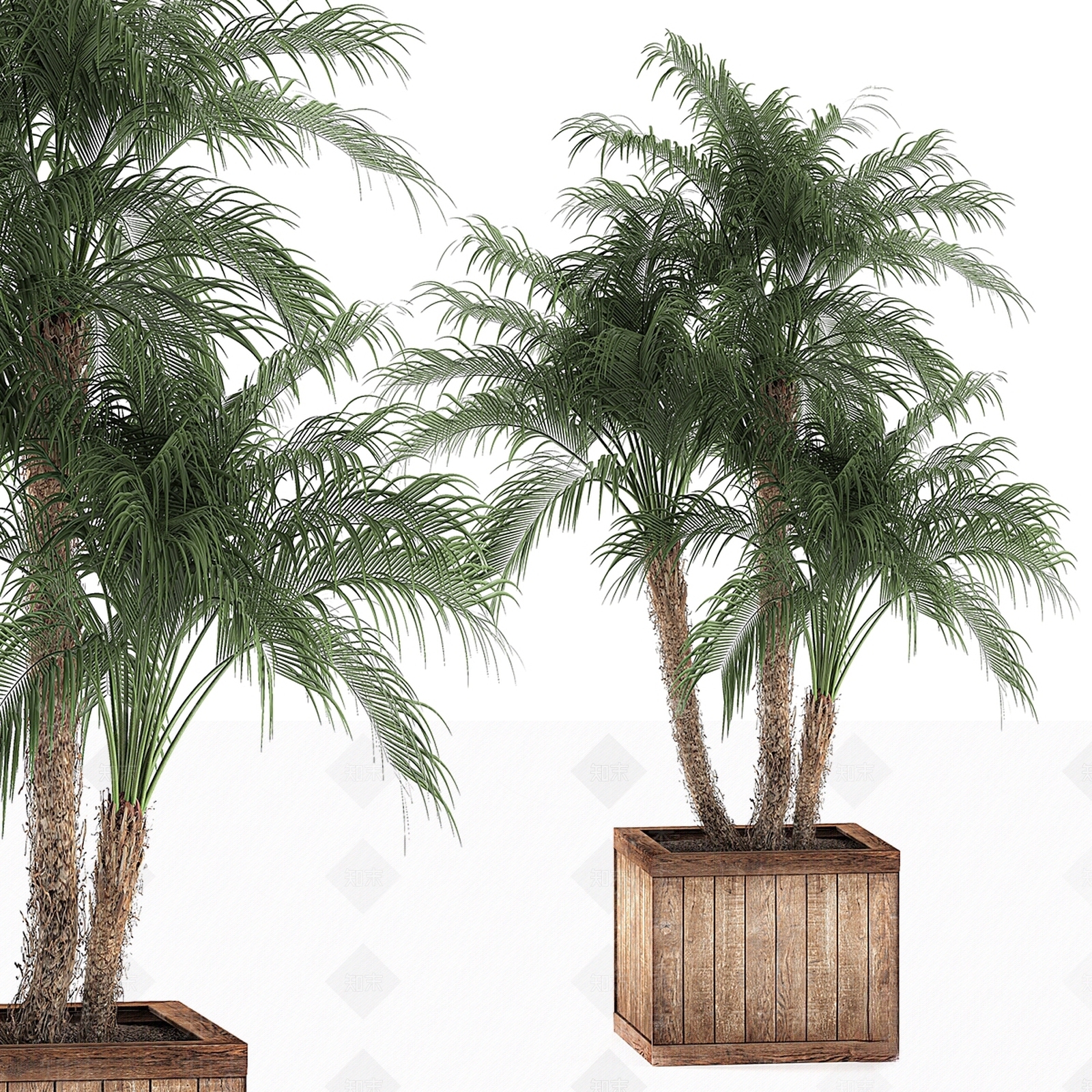 其他绿植3D模型下载【ID:1195919667】