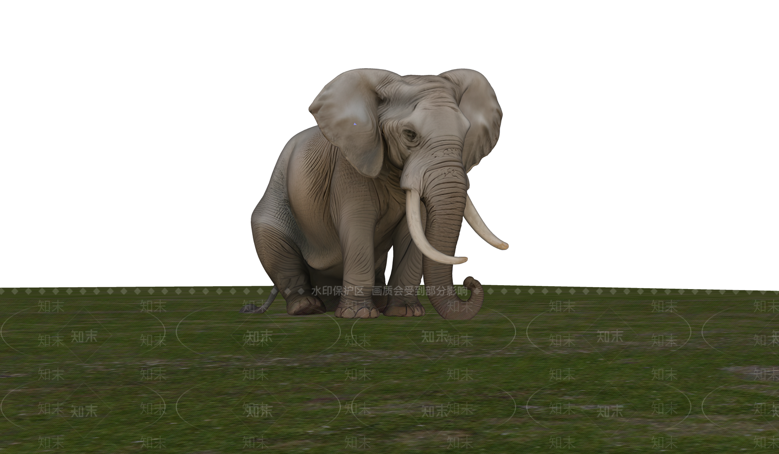 爬行动物SU模型下载【ID:1195921862】