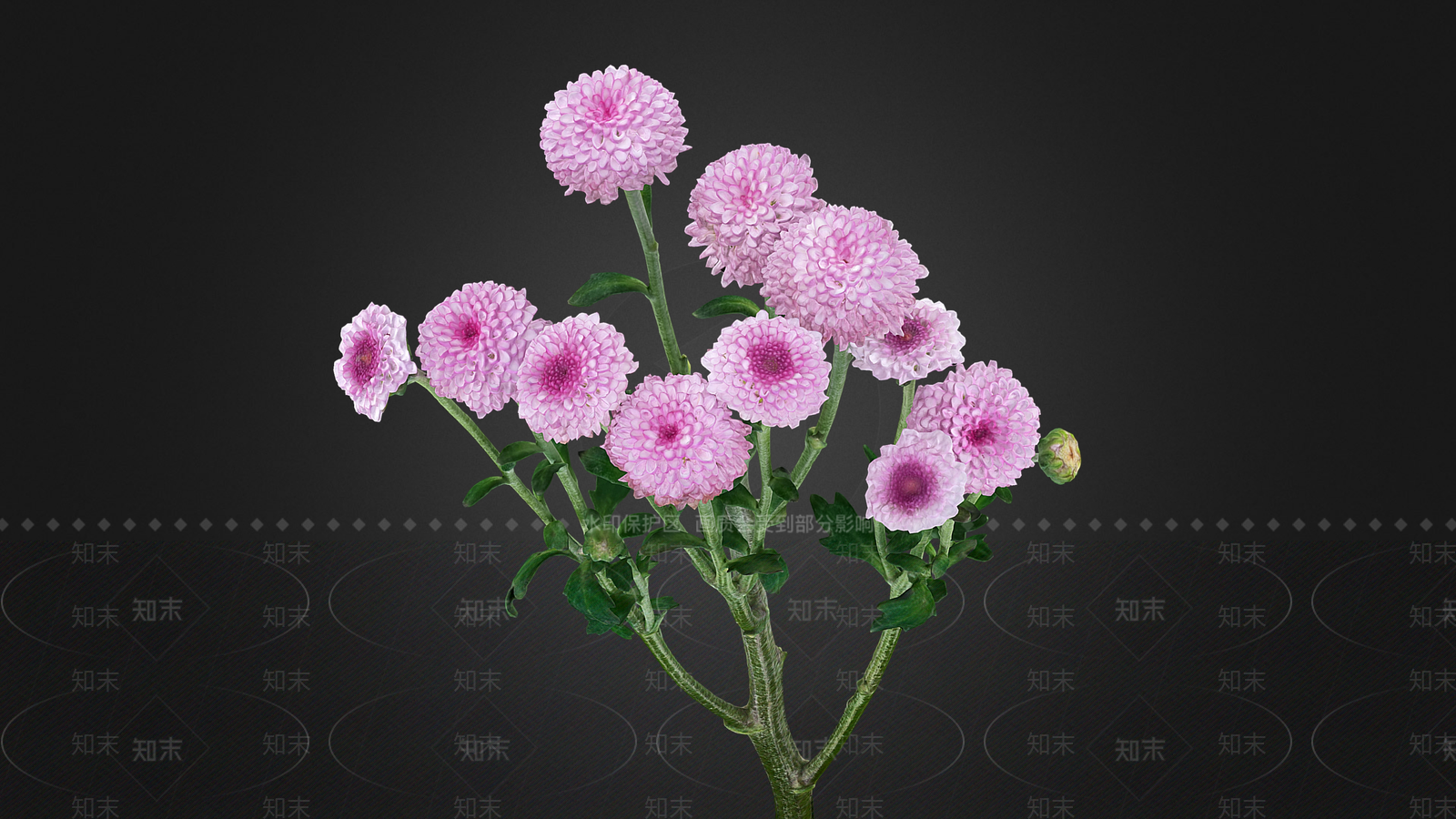 花3D模型下载【ID:1195954203】