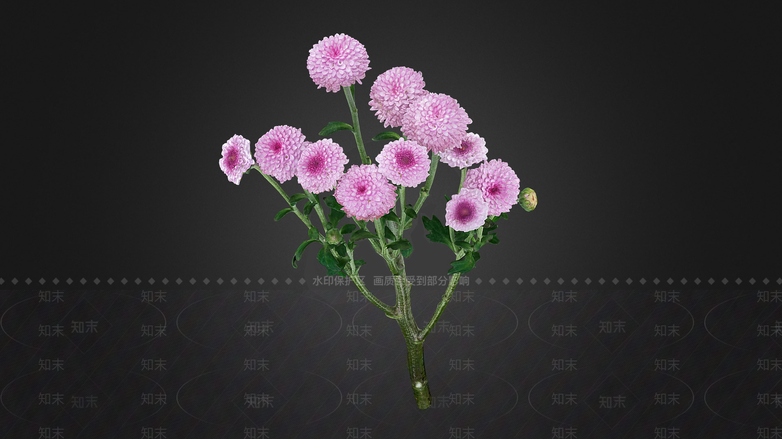 花3D模型下载【ID:1195954203】