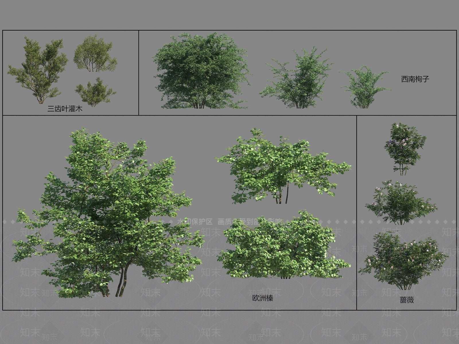 灌木3D模型下载【ID:1195955388】