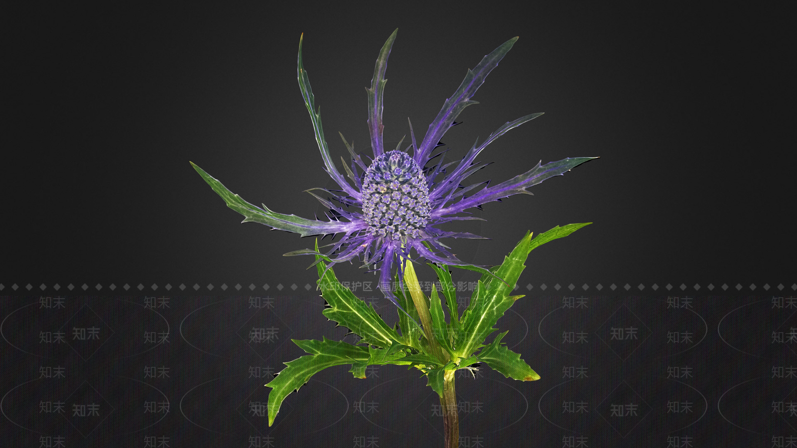 花3D模型下载【ID:1195957277】