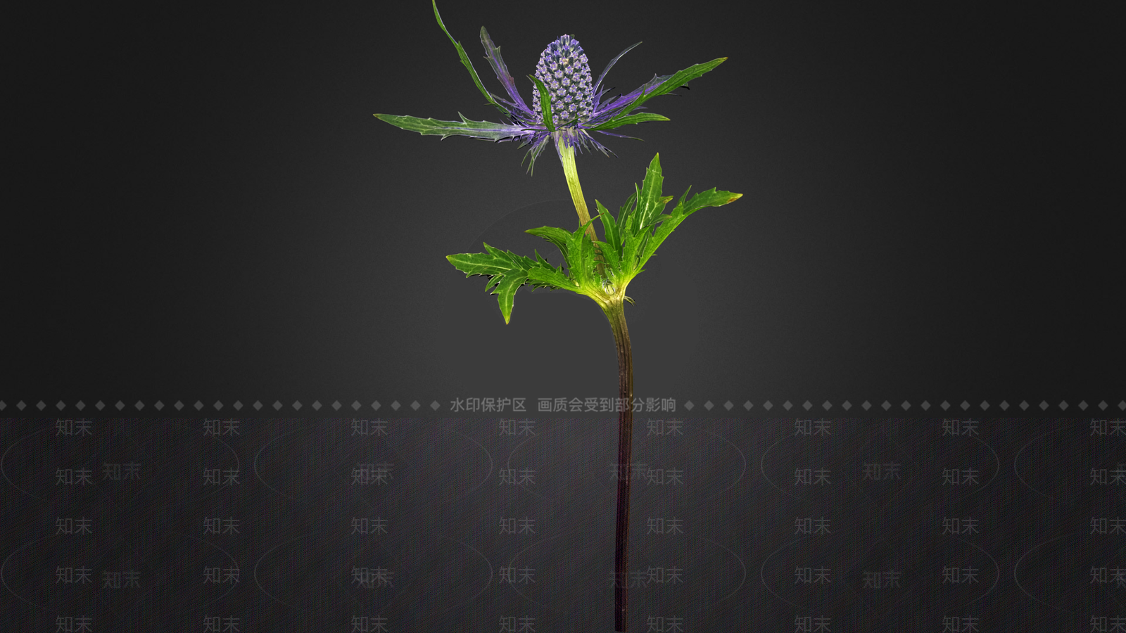 花3D模型下载【ID:1195957277】