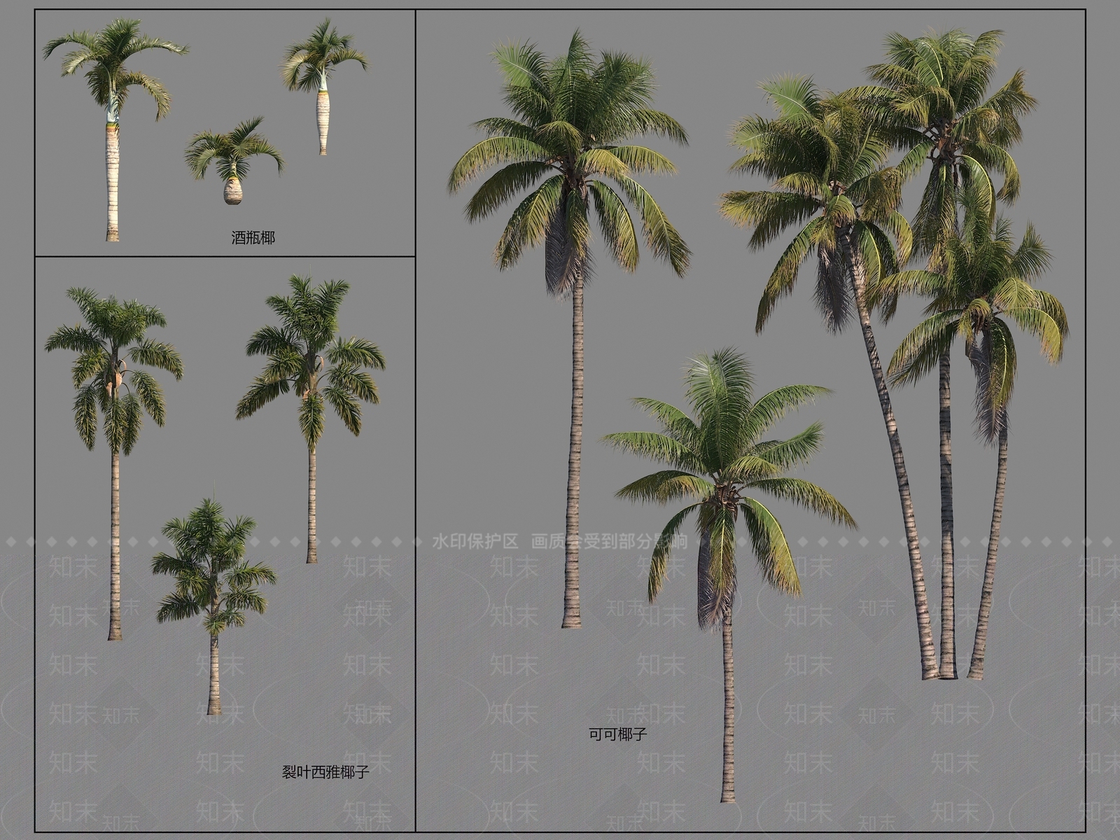 现代景观树3D模型渲染效果图