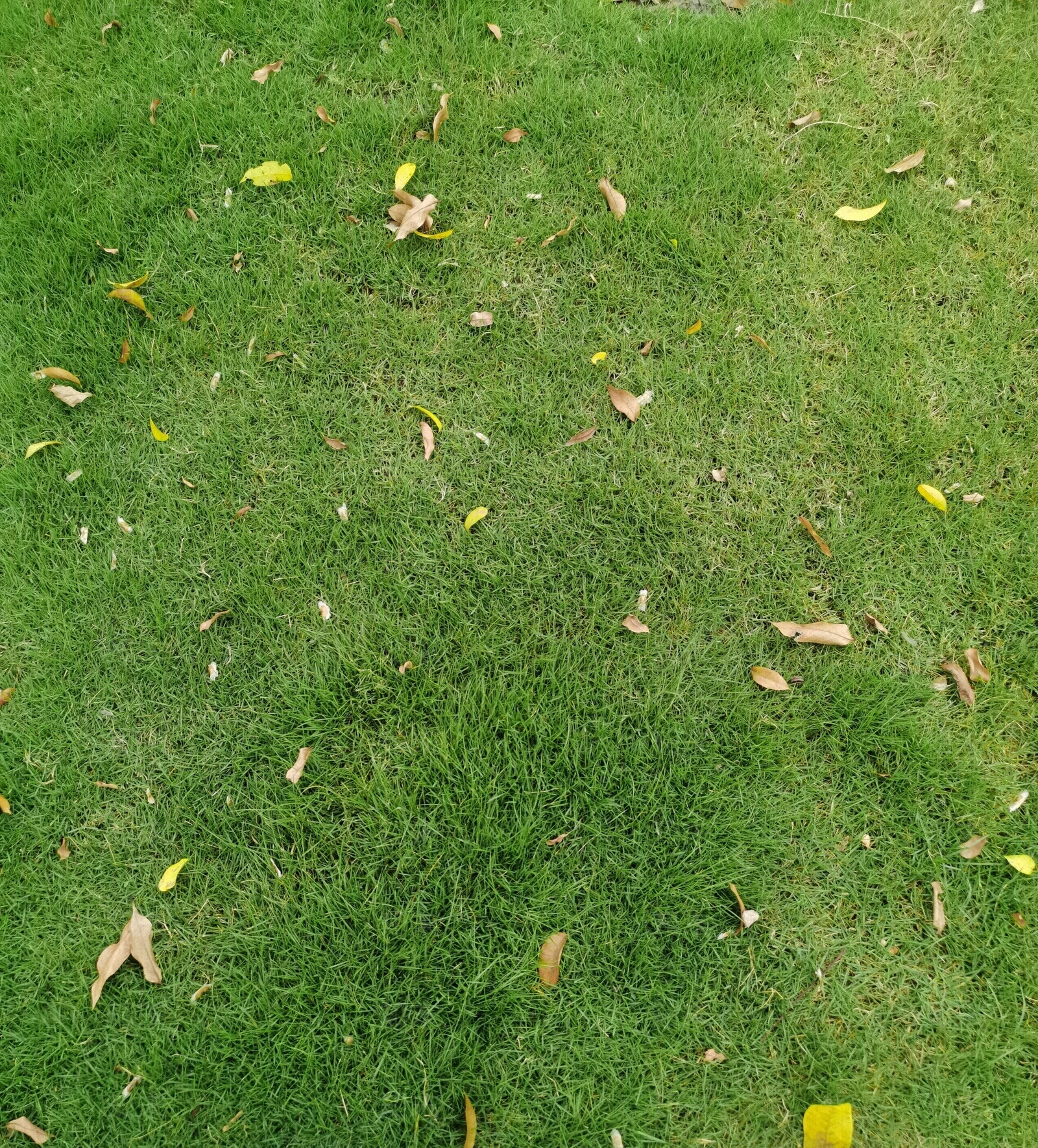 现代街道外景贴图下载【ID:1195971883】