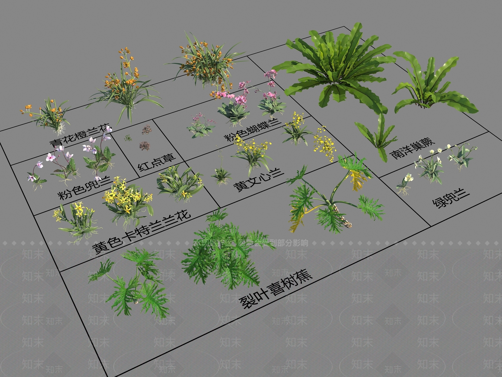 花3D模型下载【ID:1195986009】