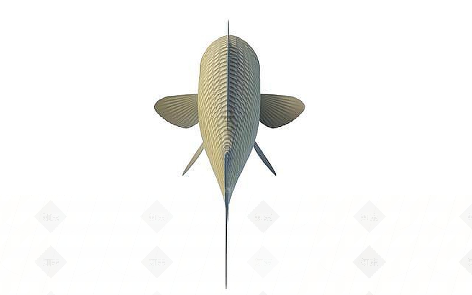 现代草鱼3D模型下载【ID:1196370617】