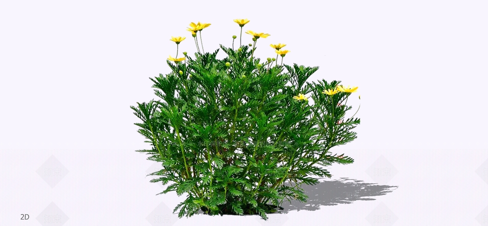 灌木SU模型下载【ID:1196036343】