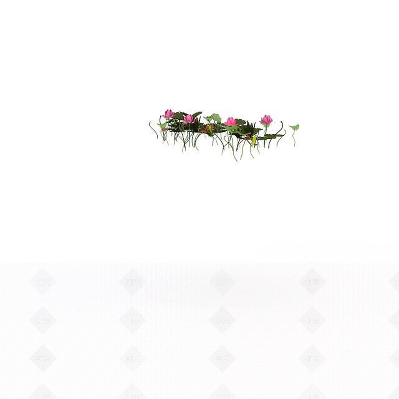 现代荷花3D模型下载【ID:1196043169】