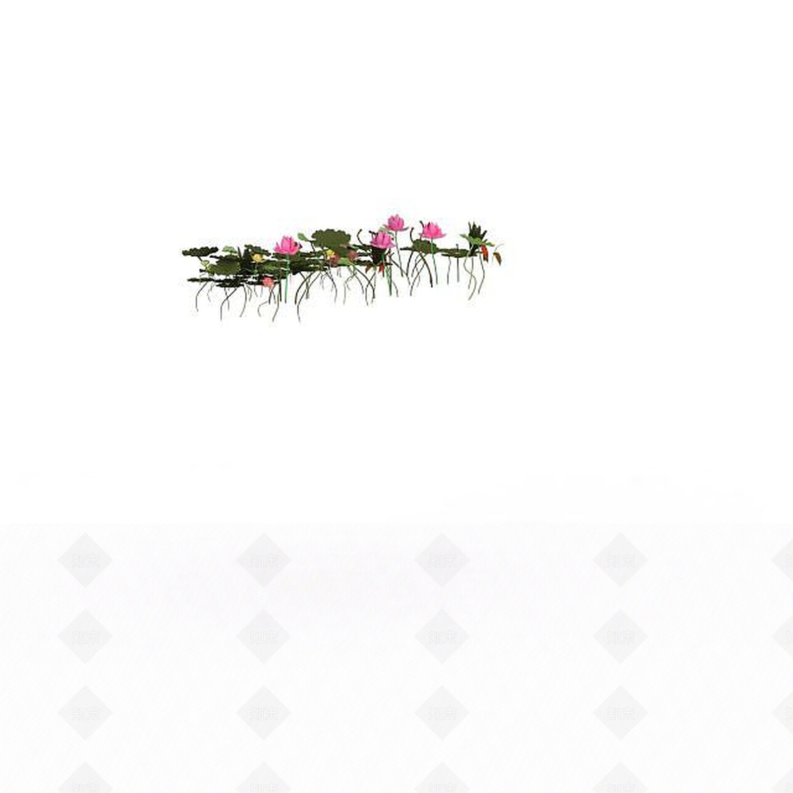 现代荷花3D模型下载【ID:1196043169】