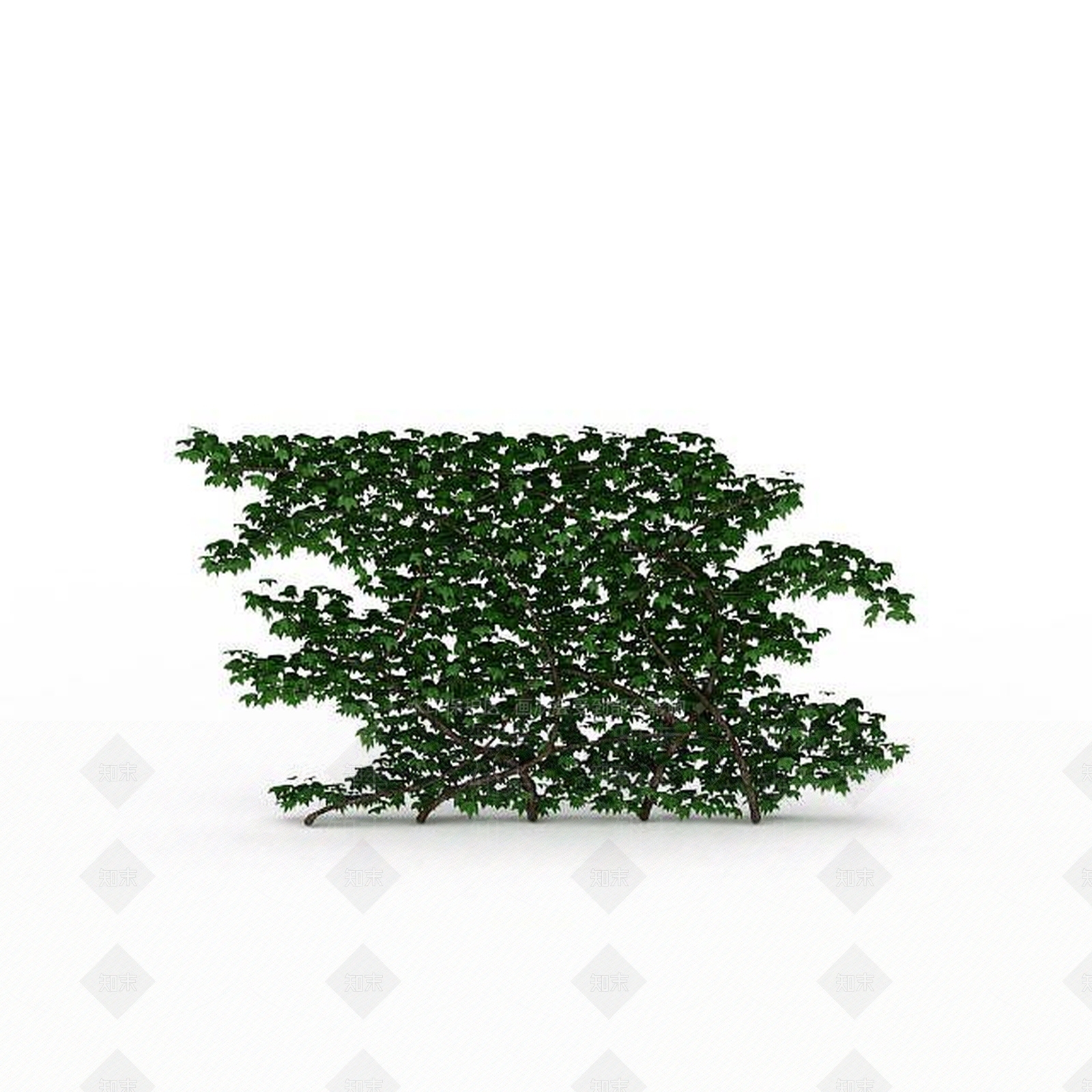 现代爬山虎3D模型下载【ID:1196043702】