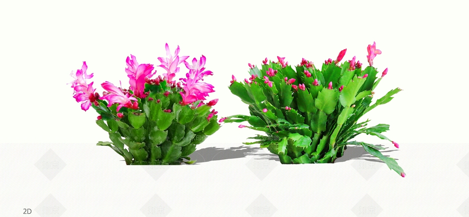 灌木SU模型下载【ID:1196056277】
