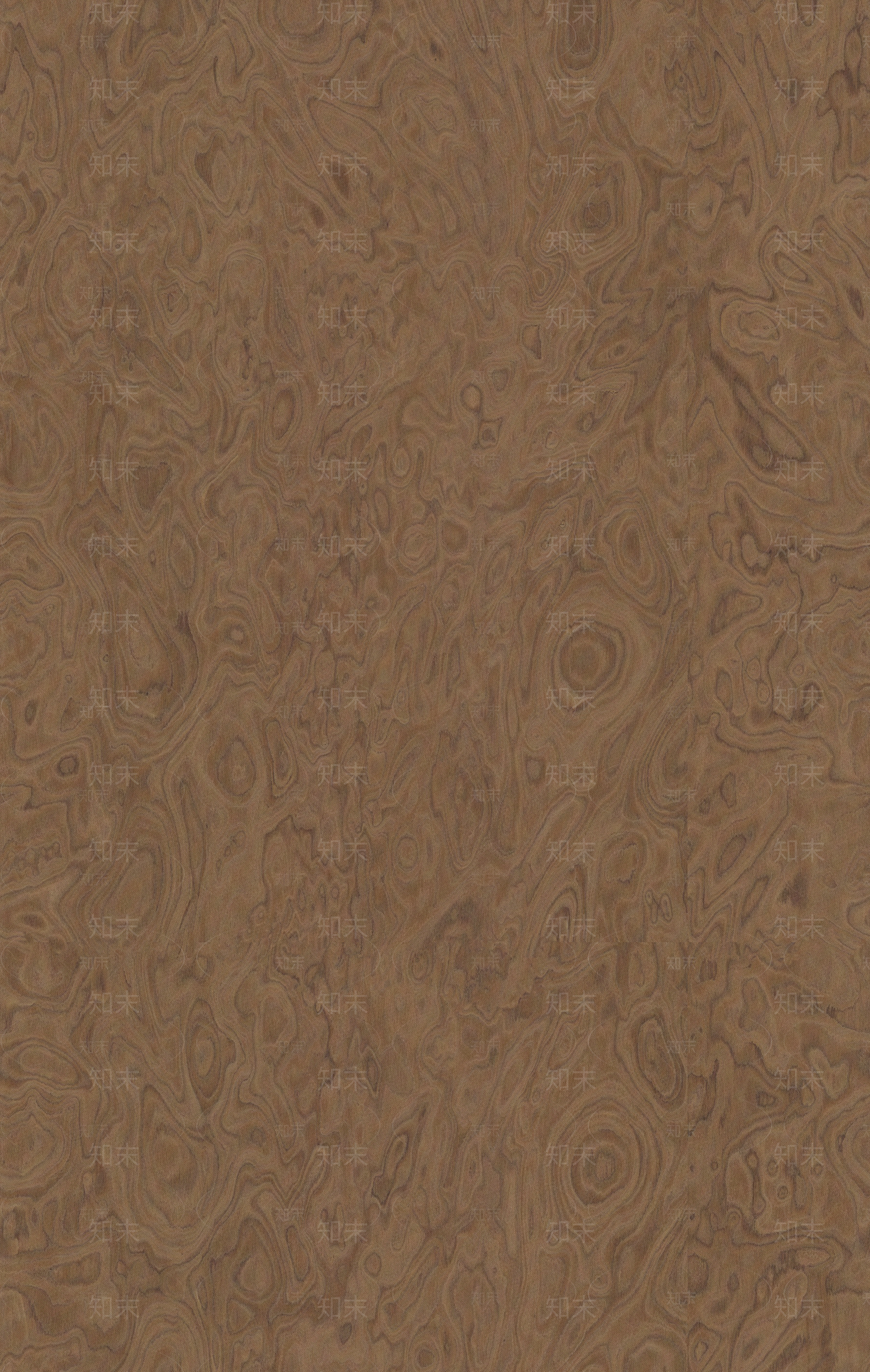 现代中古树瘤贴图下载【ID:1196073544】