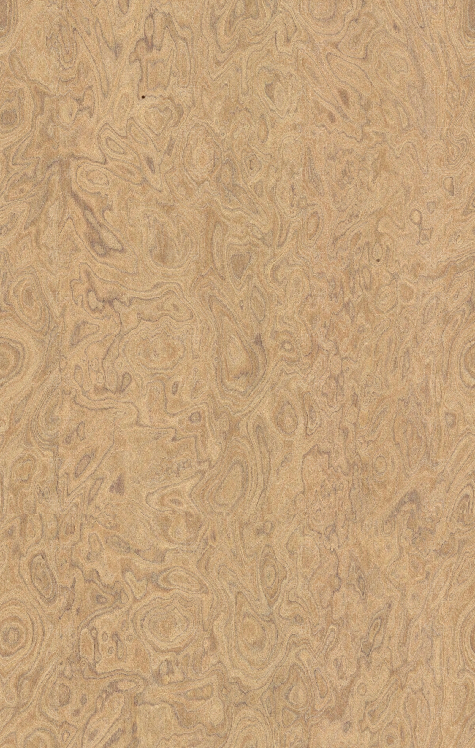 现代极简树瘤贴图下载【ID:1196073621】