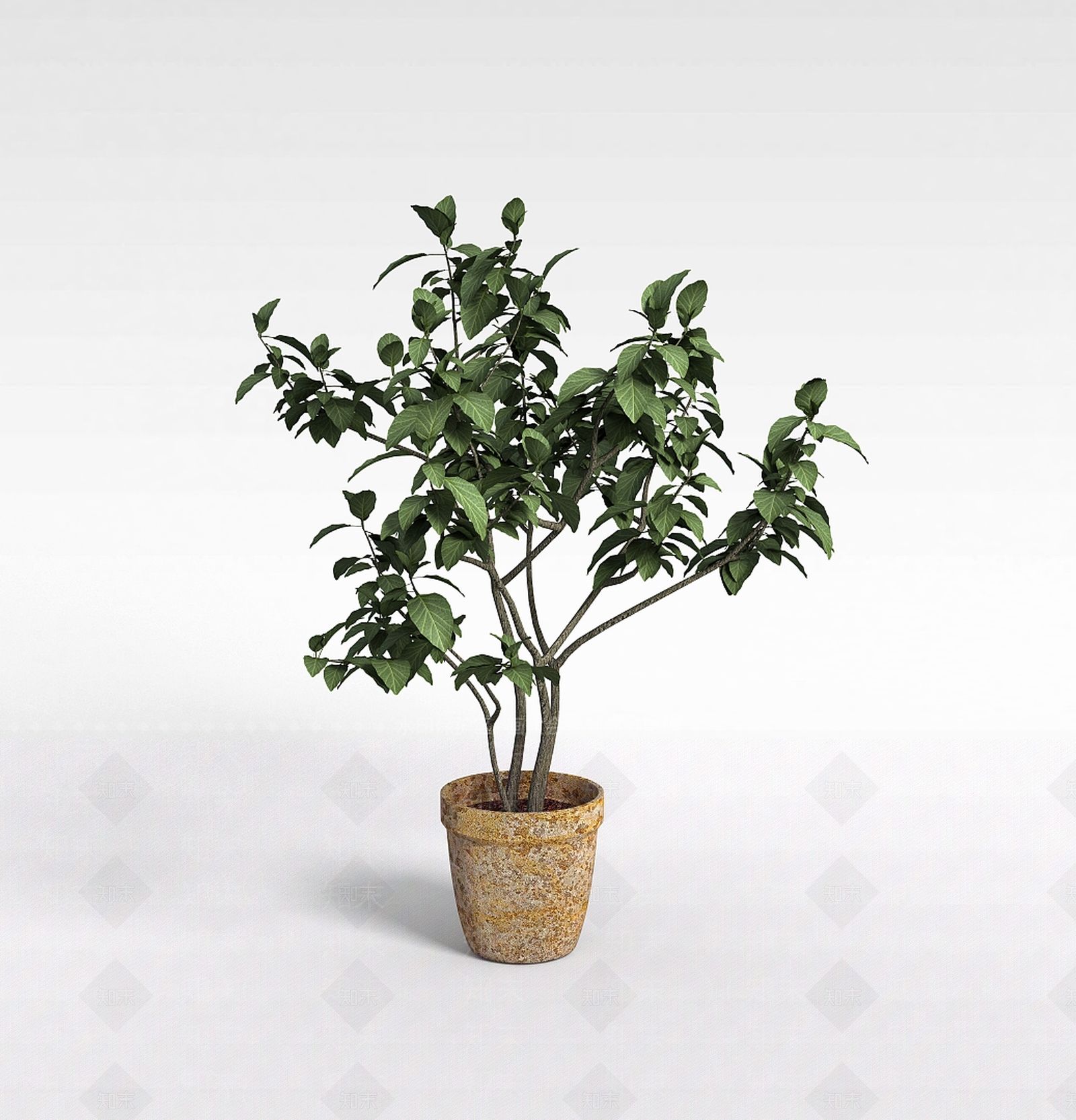 现代灌木3D模型下载【ID:1196080839】