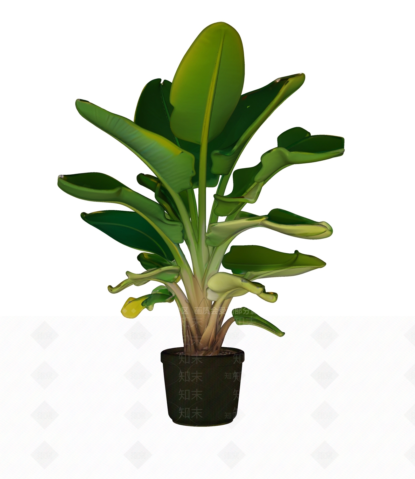 盆栽SU模型下载【ID:1196084893】