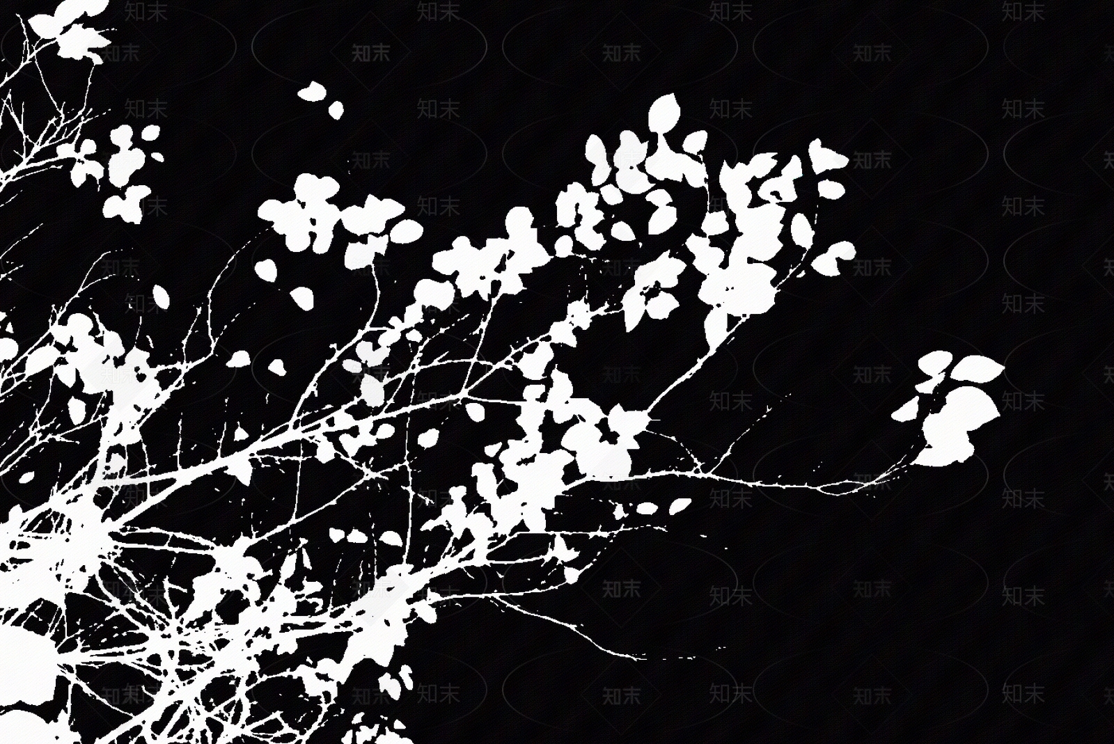 现代树影贴图下载【ID:1196096642】