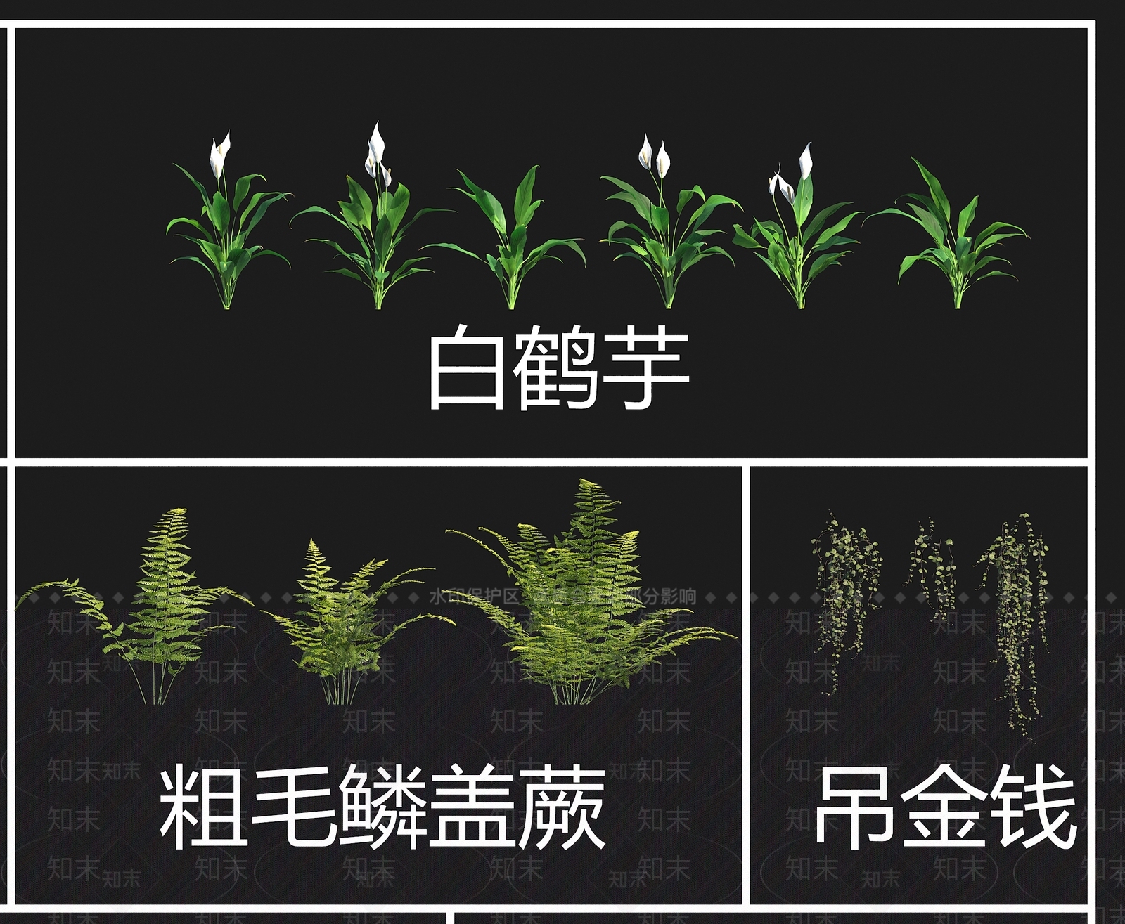 花草组合3D模型下载【ID:1196098907】